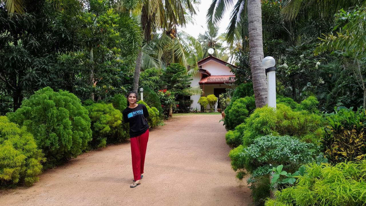 Wild View Stay Habarana Exterior photo