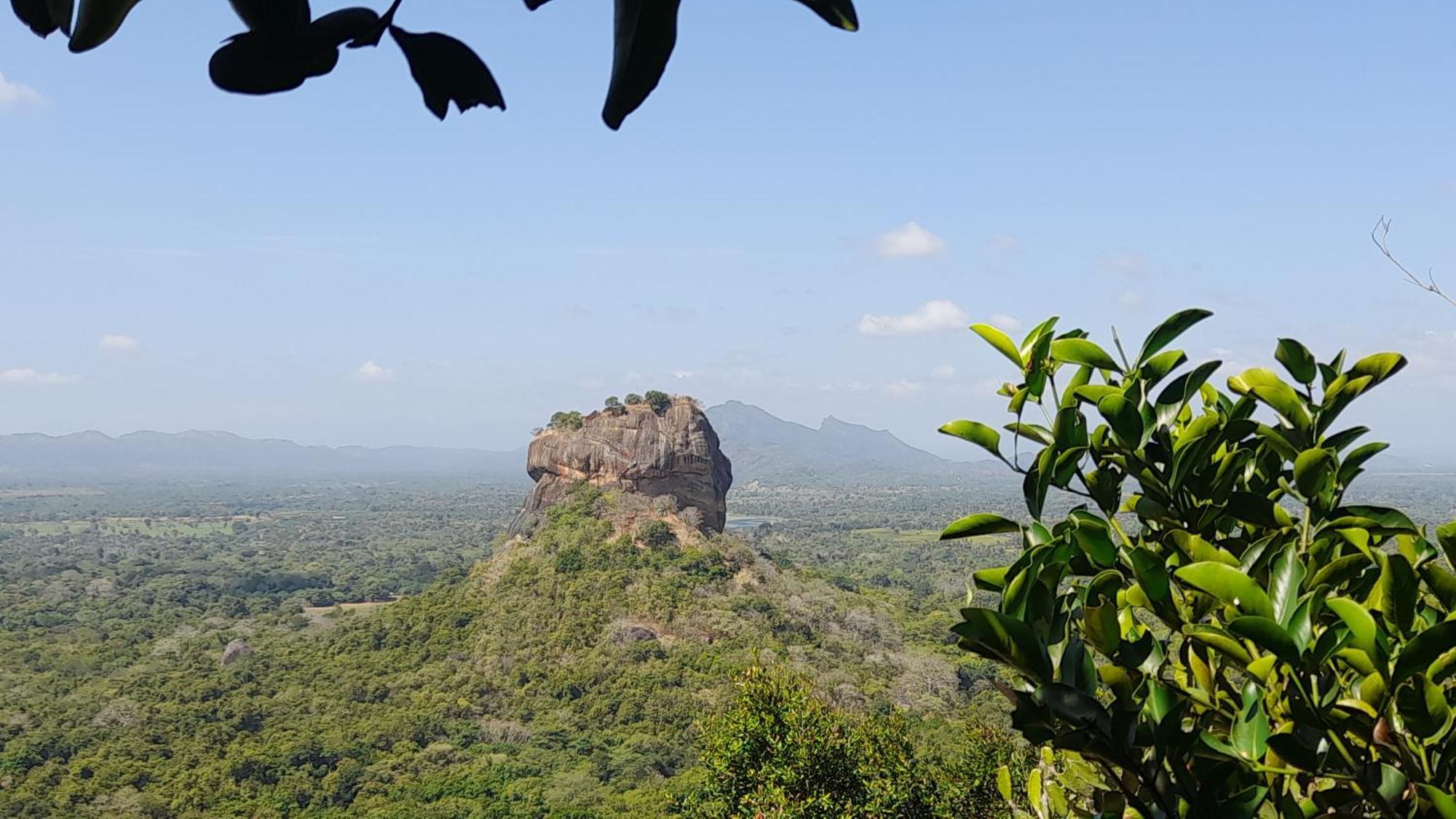 Wild View Stay Habarana Exterior photo